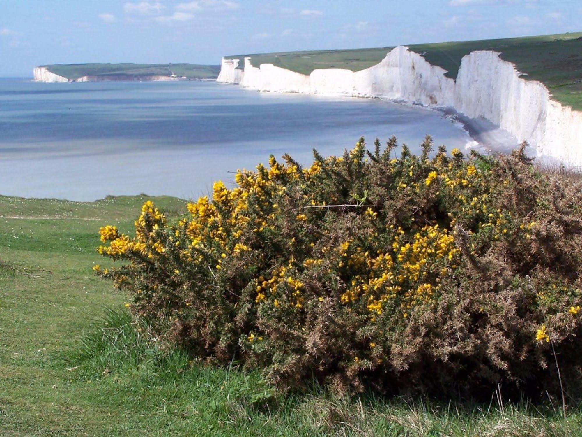Park View Hotel Eastbourne Luaran gambar